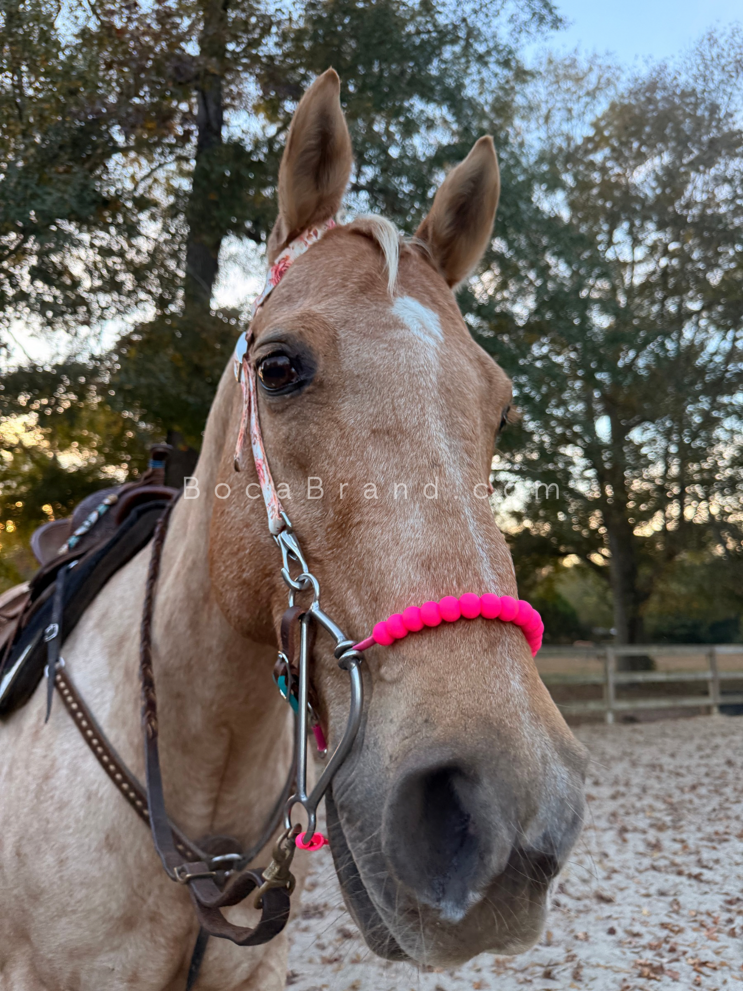 BOCA HACKAMORE — FlexRoller™ Noseband (Preorder)