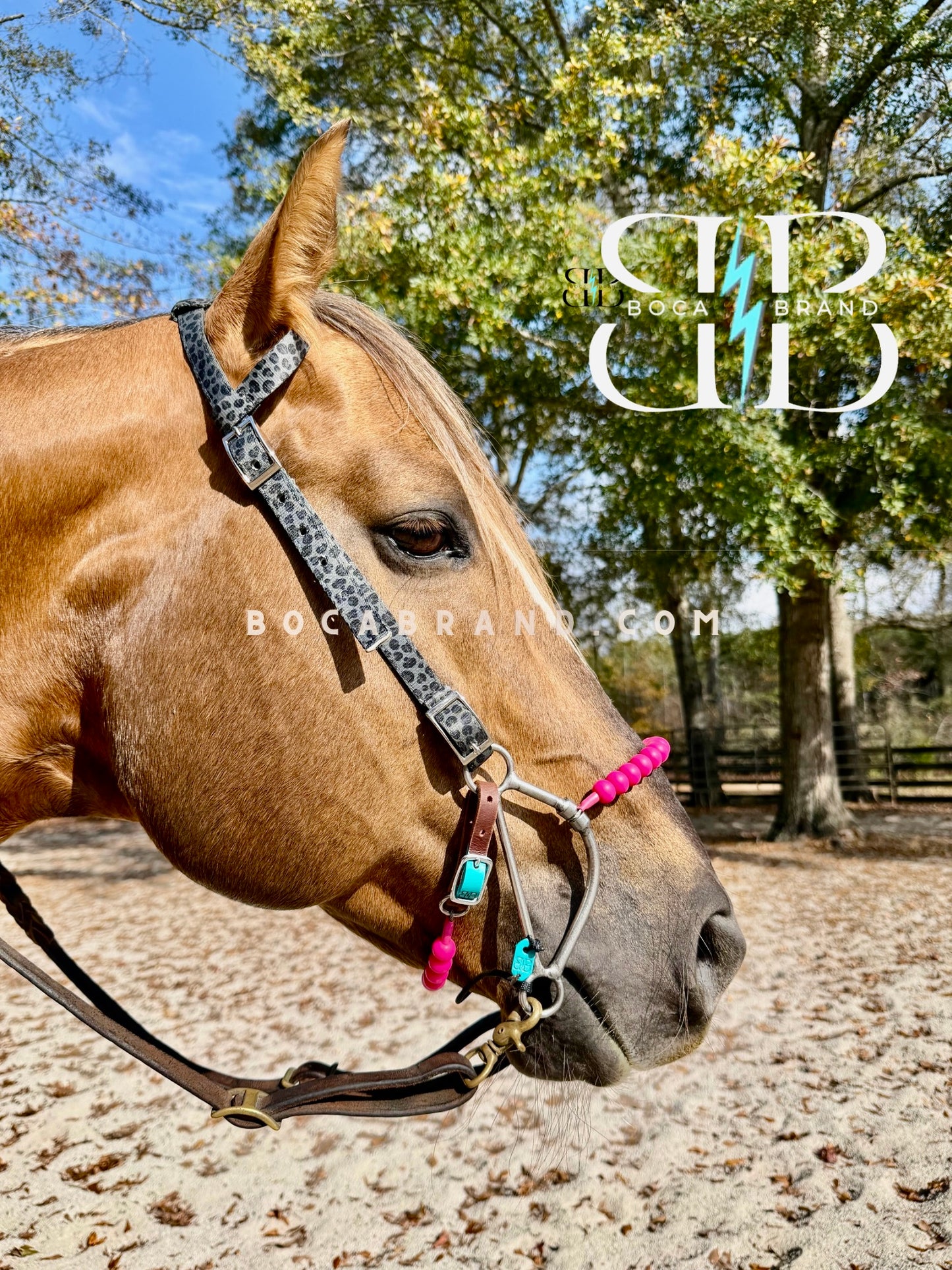 BOCA HACKAMORE — FlexRoller™ Noseband (Preorder)