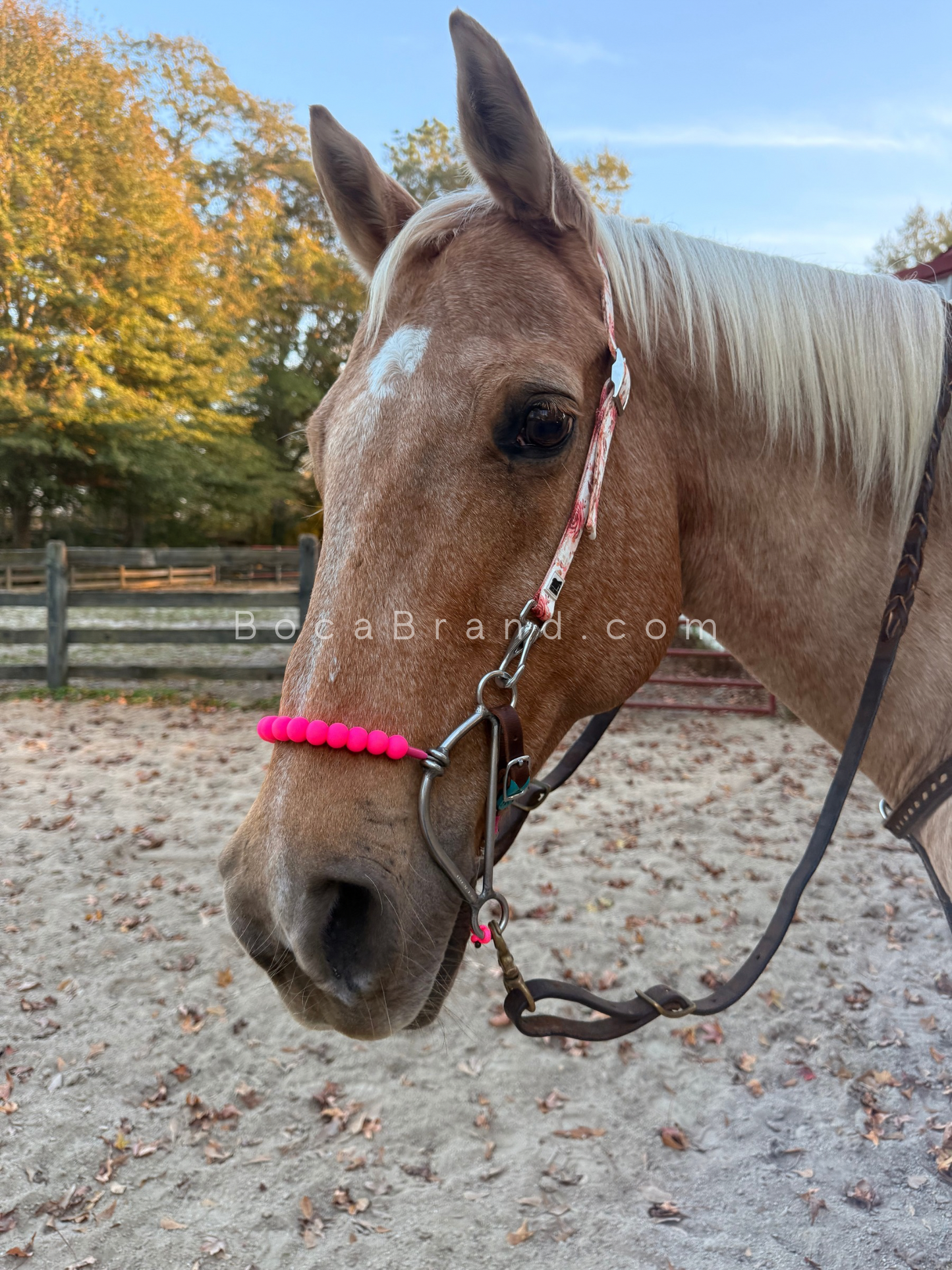 BOCA HACKAMORE — FlexRoller™ Noseband (Preorder)