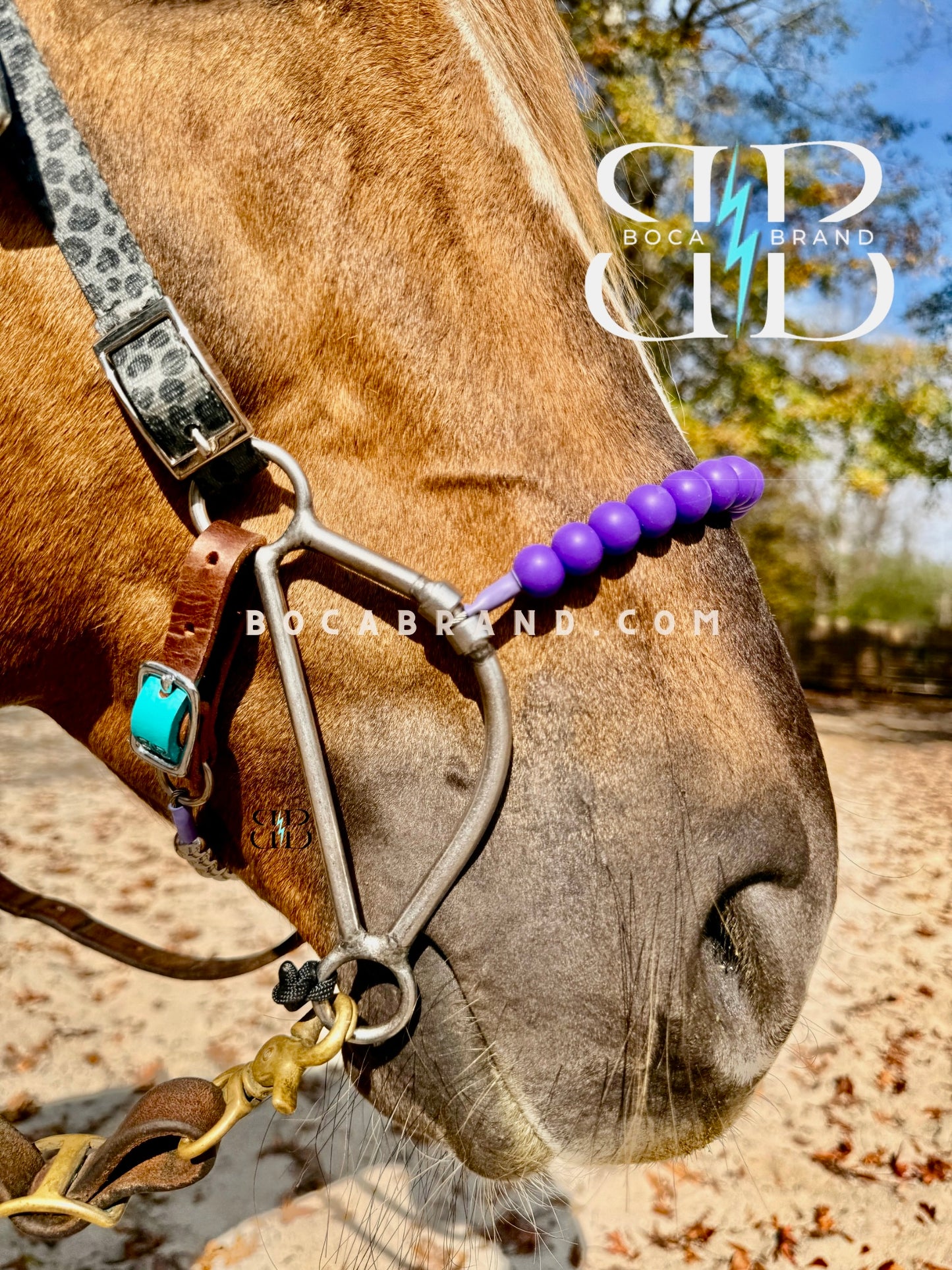 BOCA HACKAMORE — FlexRoller™ Noseband (Preorder)