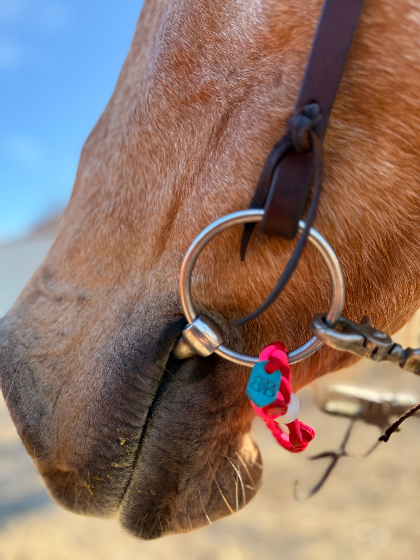 ⚡️Boca Brand X Buck The Stigma 🩷