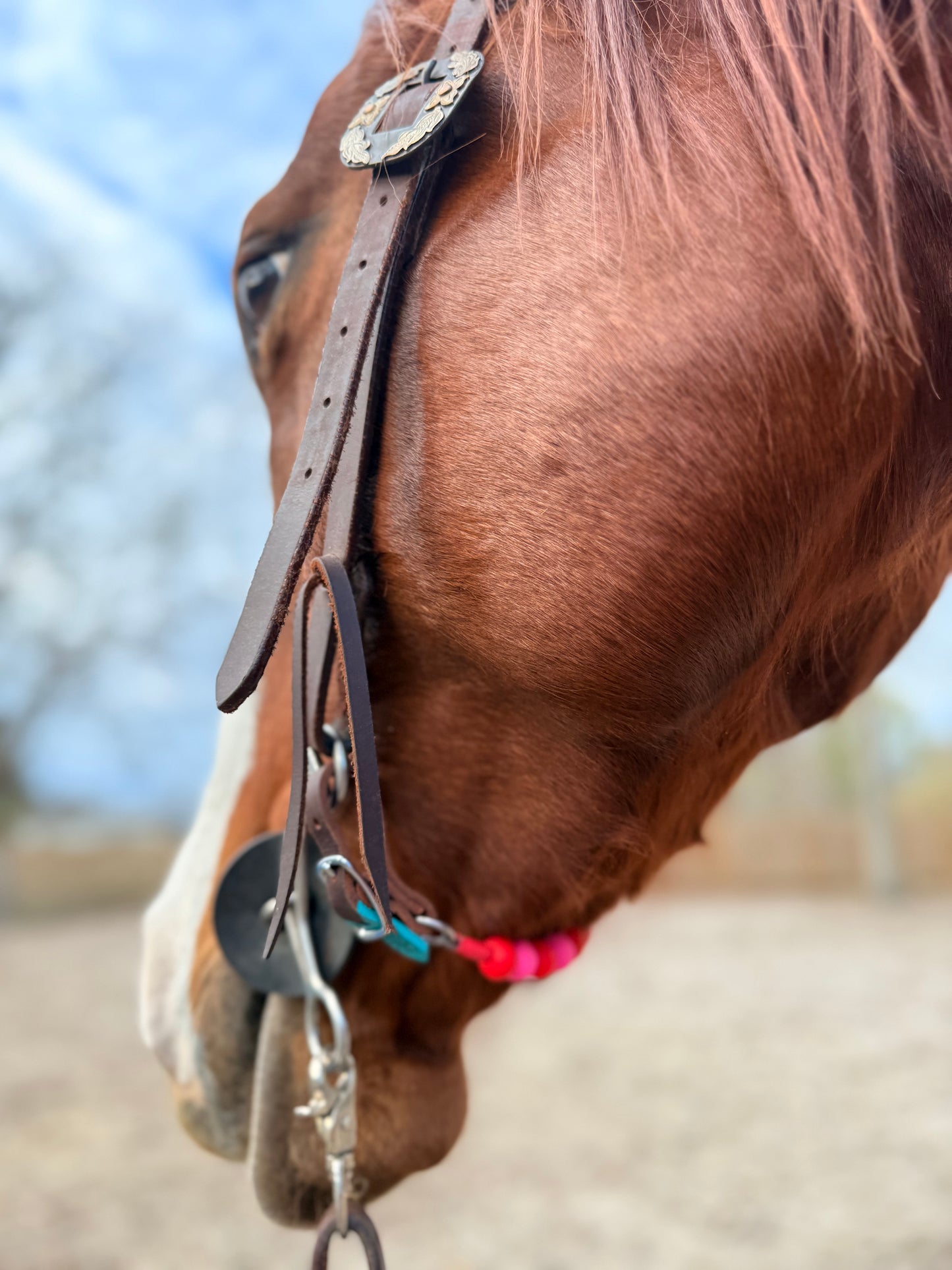 ⚡️Boca Brand X Buck The Stigma 🩷