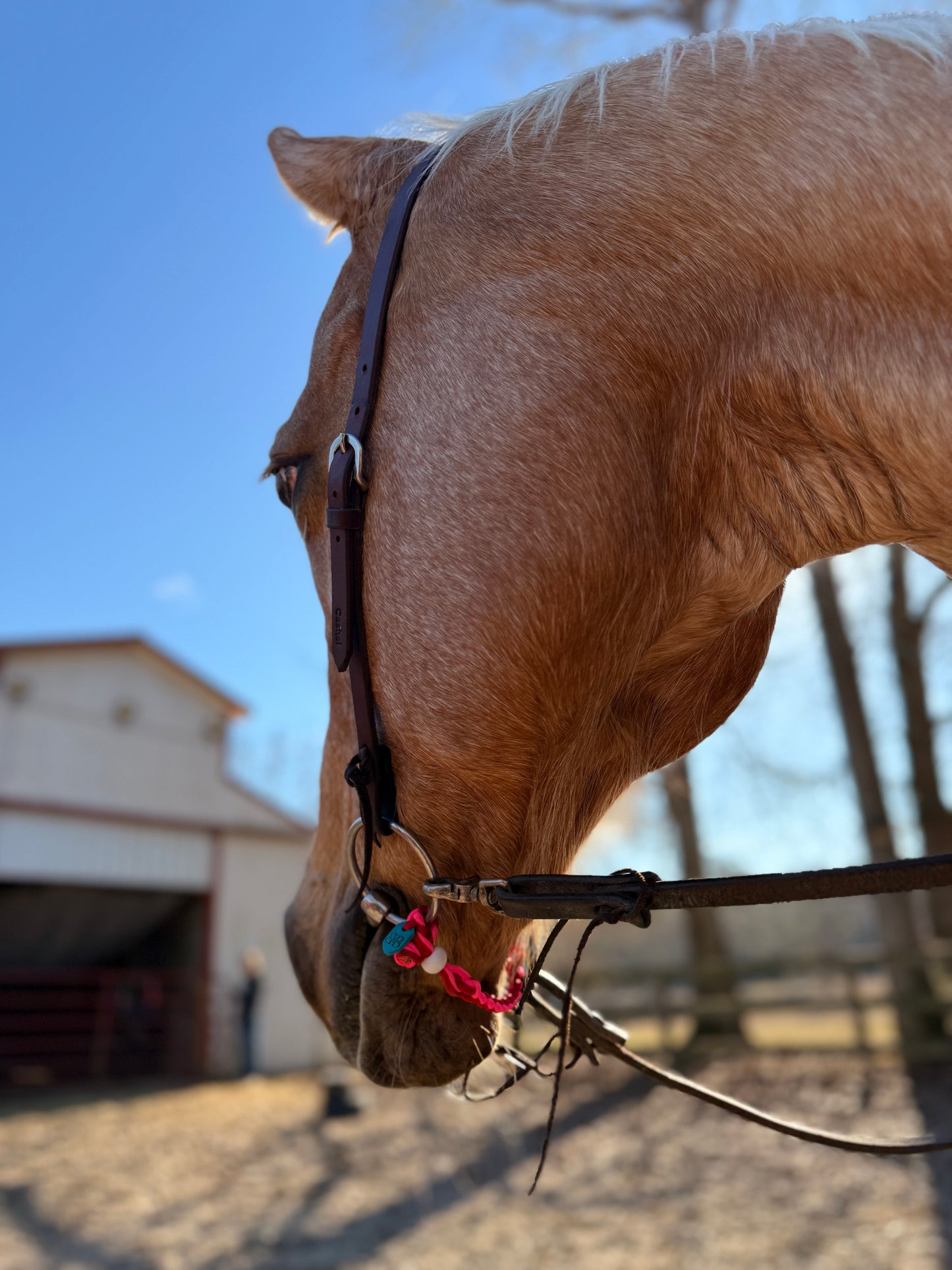 ⚡️Boca Brand X Buck The Stigma 🩷