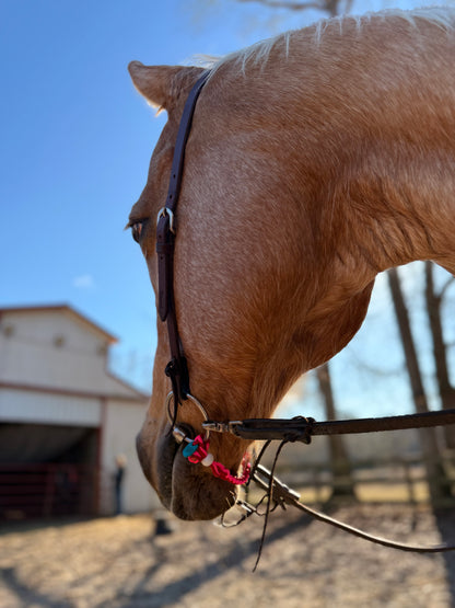 ⚡️Boca Brand X Buck The Stigma 🩷