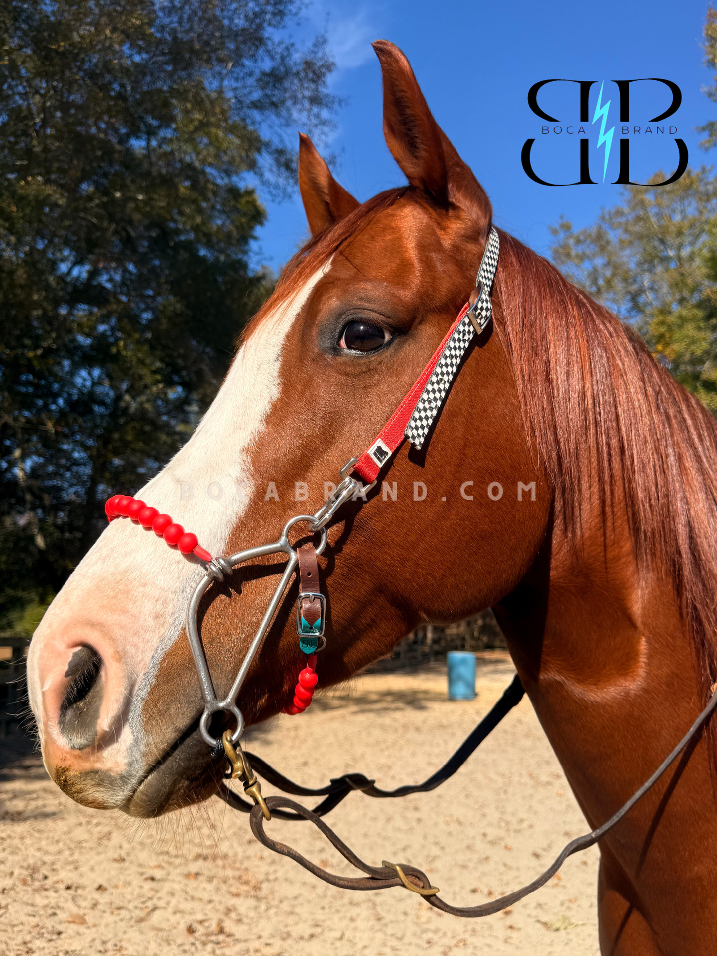BOCA HACKAMORE — FlexRoller™ Noseband (Preorder)