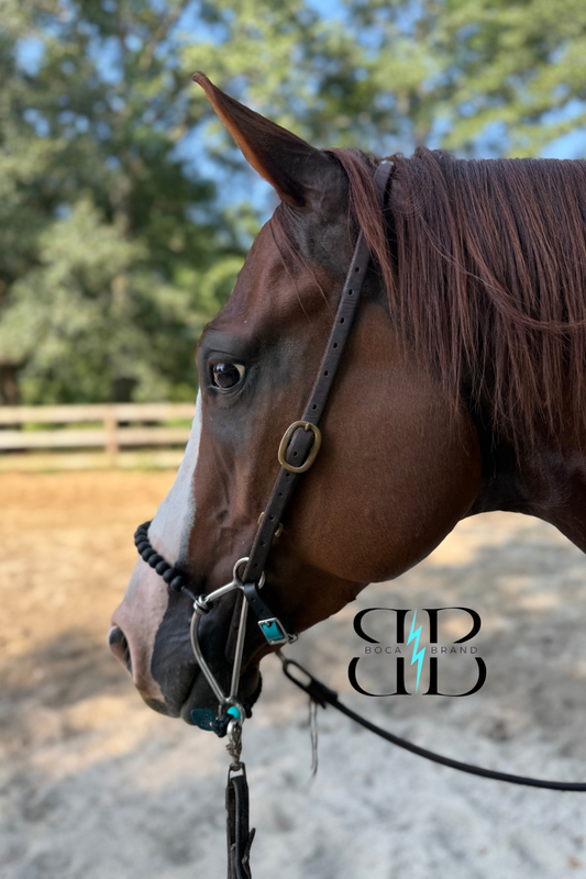 BOCA HACKAMORE — FlexRoller™ Noseband (Preorder)