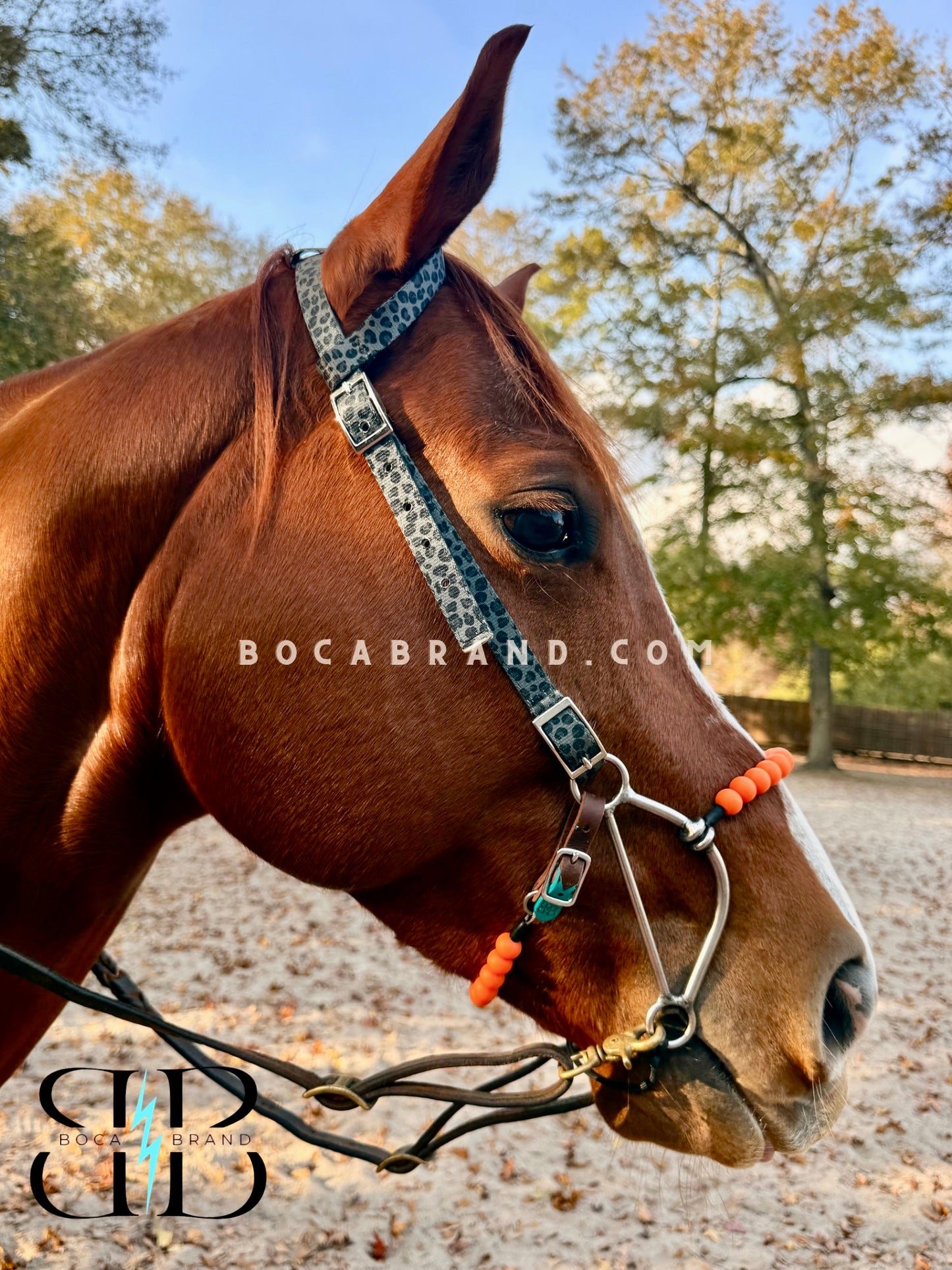 BOCA HACKAMORE — FlexRoller™ Noseband (Preorder)