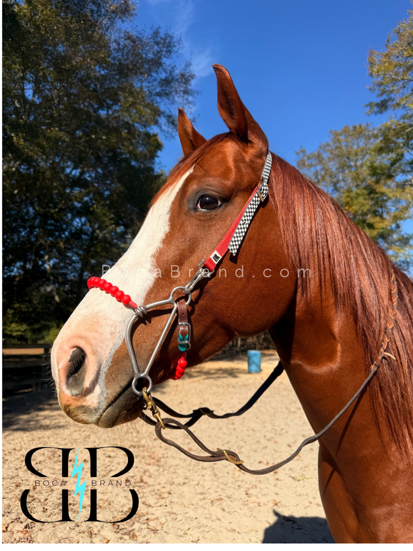 BOCA HACKAMORE — FlexRoller™ Noseband (Preorder)