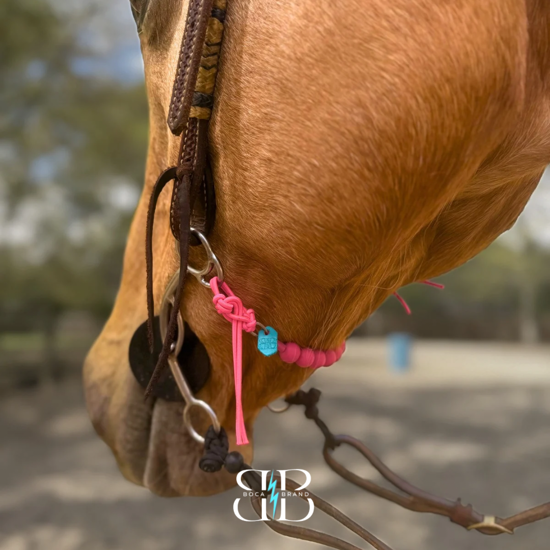 Boca Bungee